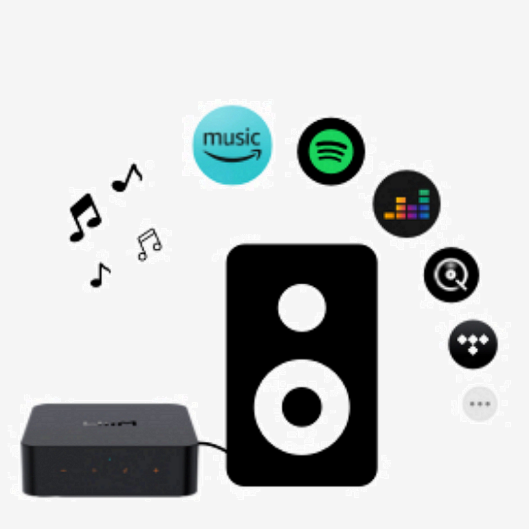 WiiM Pro Plus AirPlay 2 Receiver, Chromecast Audio, WiFi Multiroom  Streamer, Roon Ready, Compatible with Alexa, Siri, Google Assistant, Stream  Hi-Res Audio from Spotify,  Music, Tidal and More : :  Electrónicos