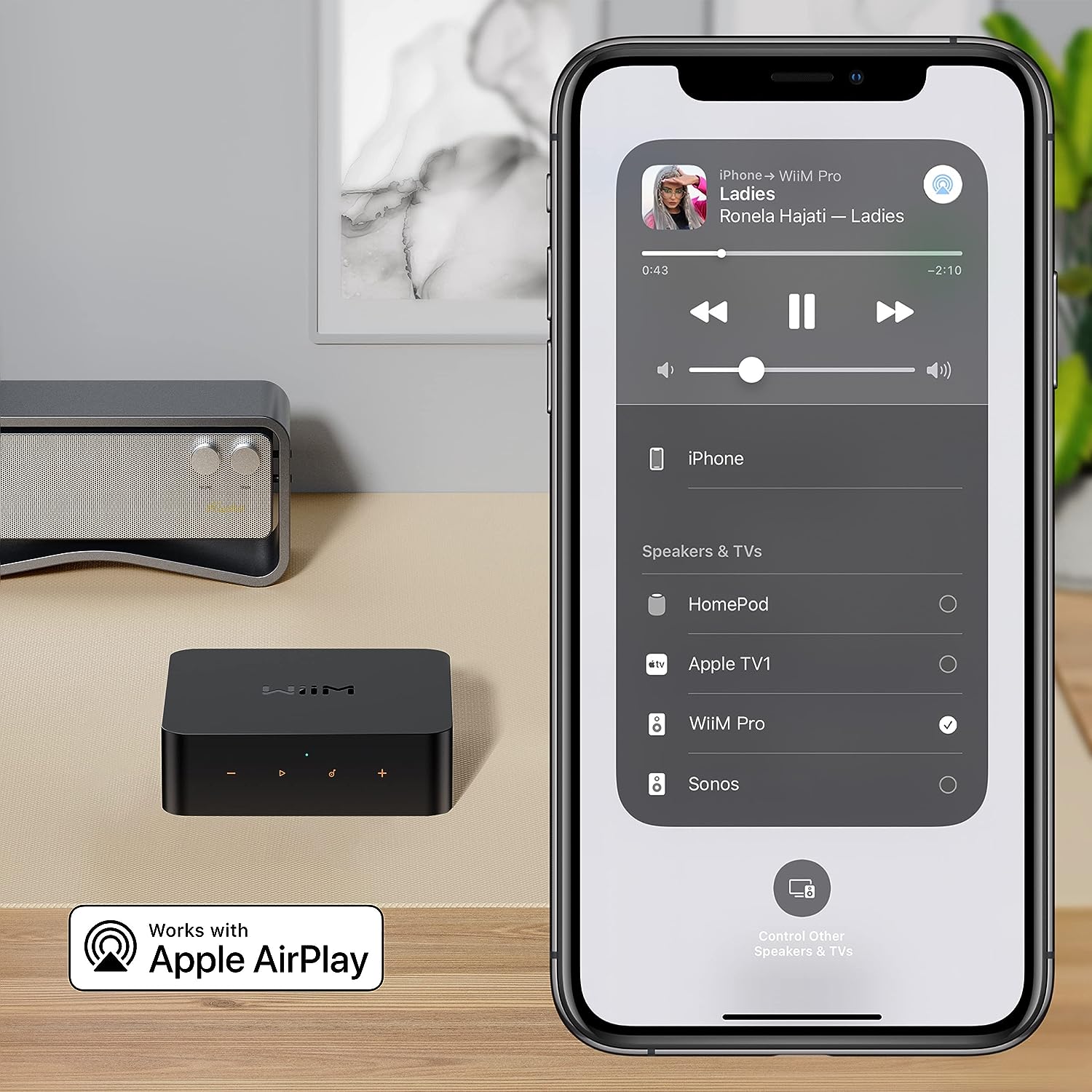 当日配達 WiiM Pro AirPlay 2 レシーバー、ストリーマ－ハイレゾ