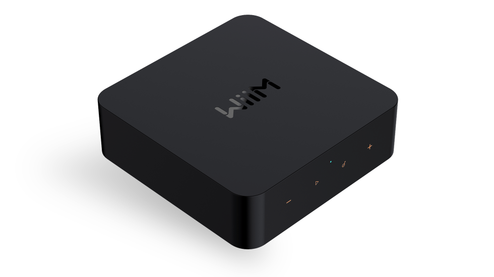 WiiM pro plus AirPlay2 Receiver, Chromecast Audio, WiFi Multiroom